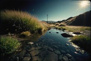 a grassy area with rocks and grass photo