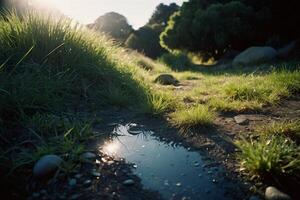 a grassy area with rocks and grass photo