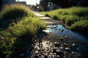 a grassy area with rocks and grass photo