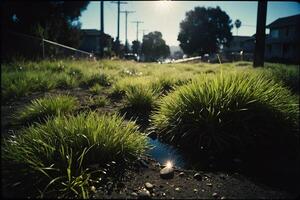 a grassy area with rocks and grass photo