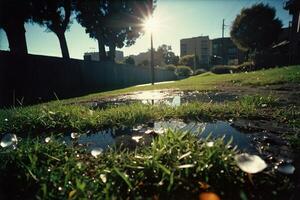 a grassy area with rocks and grass photo