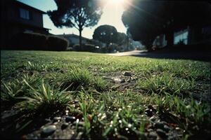 un herboso zona con rocas y césped foto