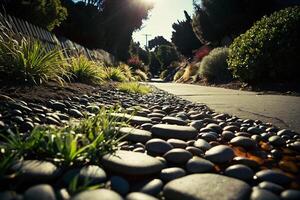 a grassy area with rocks and grass photo