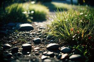 a grassy area with rocks and grass photo