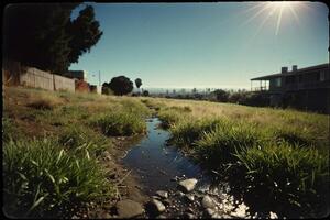 a grassy area with water and rocks photo