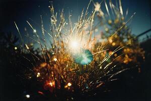 a photo of a flower in the grass with the sun shining