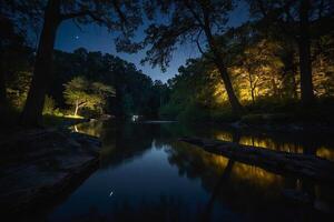 a river at night with trees and lights photo