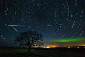 un árbol con un estrella sendero en el cielo foto