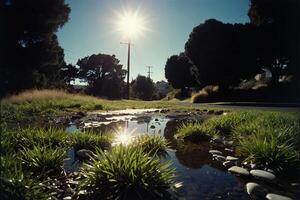 a grassy area with water and rocks photo