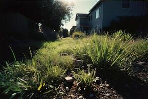 a grassy area with water and rocks photo