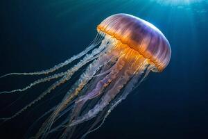 AI generated jellyfish in the ocean with sunlight shining on it photo