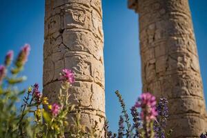 the columns of the temple of rhea in jerusalem photo