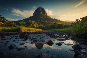 the sun sets over a river in the jungle photo