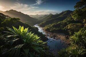 the sun rises over the mountains in the rainforest photo
