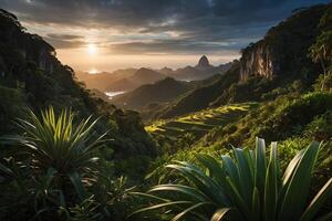 a stream runs through a lush jungle photo