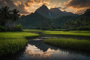 the sun rises over the mountains in the rainforest photo