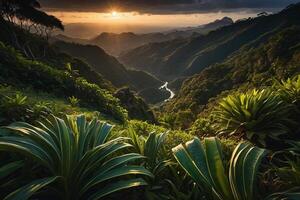 a stream runs through a lush jungle photo