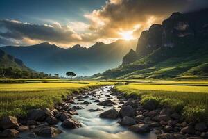 the sun rises over the mountains in the rainforest photo