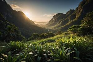 a stream runs through a lush jungle photo