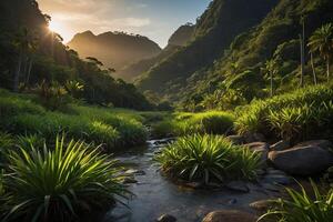 the sun rises over the mountains in the rainforest photo