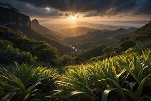 a stream runs through a lush jungle photo