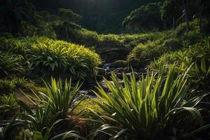 a stream runs through a lush jungle photo