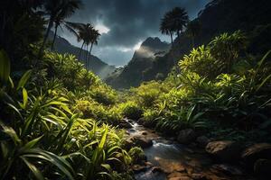 a stream runs through a lush jungle photo