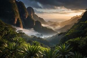 the sun rises over the mountains in the rainforest photo