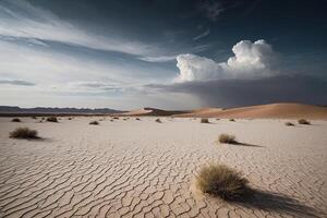a desert with sand and grass under a cloudy sky photo