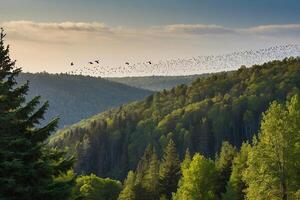 birds flying over a forest with trees and mountains photo