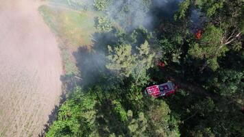 fuego luchadores trabajando en bosque fuego aéreo ver video