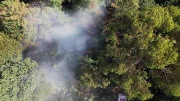 Feu combattants travail sur forêt Feu aérien vue video