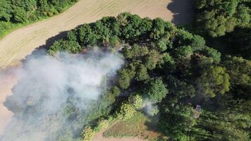 Feuer Kämpfer Arbeiten auf Wald Feuer Antenne Aussicht video