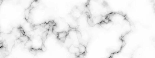 White marble texture background vector