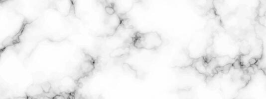 White marble texture background vector