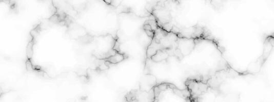 White marble texture background vector