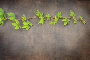 Sprig with green leaves on brown background. Ecology concept. photo