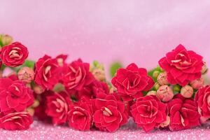 Red flowers on holiday pink background photo