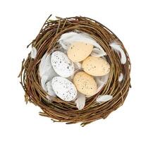 Easter eggs in bird's nest isolated on white background photo