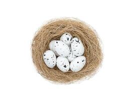 Easter white spotted eggs in bird's nest isolated on white background photo