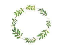 Twigs with green leaves isolated on white, circle shape photo