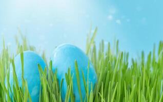 Blue Easter eggs in green grass against a blue sky photo