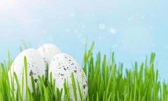 White spotted Easter eggs in green grass with a blue sky on background photo