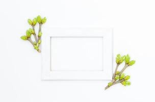 Spring background with frame and young twigs with green buds photo