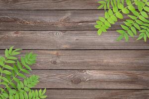 Wooden brown textured background with green foliage in corners and place for copy space in the middle photo