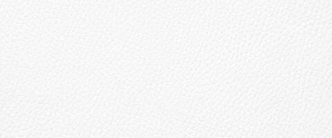 White leather texture with empty space. White background photo
