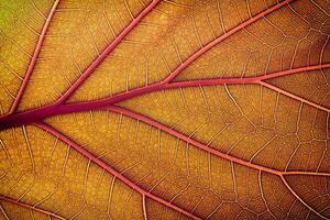 otoño hoja textura, dorado follaje como antecedentes foto