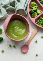 Healthy baby food in bowl photo