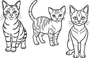 set of cats outline isolated on white background vector