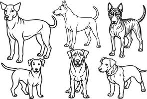 perros - negro y blanco dibujos animados ilustración vector